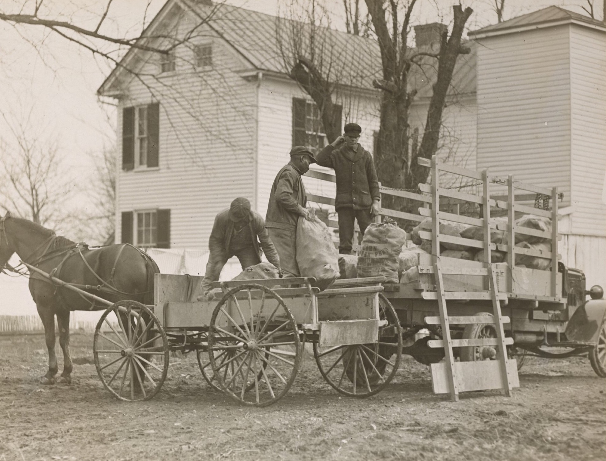 Workers transferring farm produce from a horse-drawn wagon to a truck for delivery to a city market in 1918.