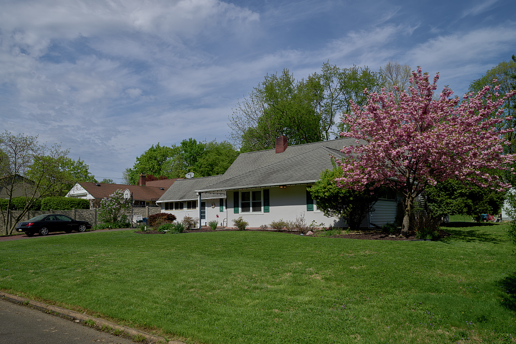Tree-lined residential street and postwar houses in Levittown, Pennsylvania