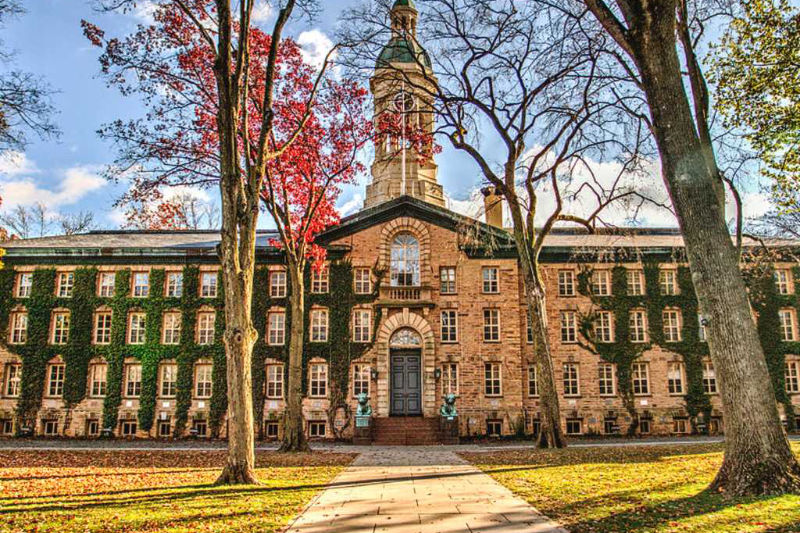 Princeton's Class of 2027 vs. Class of 2028: A Comparative Analysis
